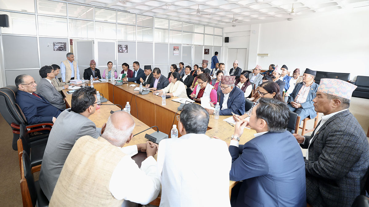 फाइल तस्बिर।